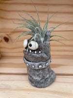 Cutie Monster - "Good Hair Day" with ASSORTED Airplant