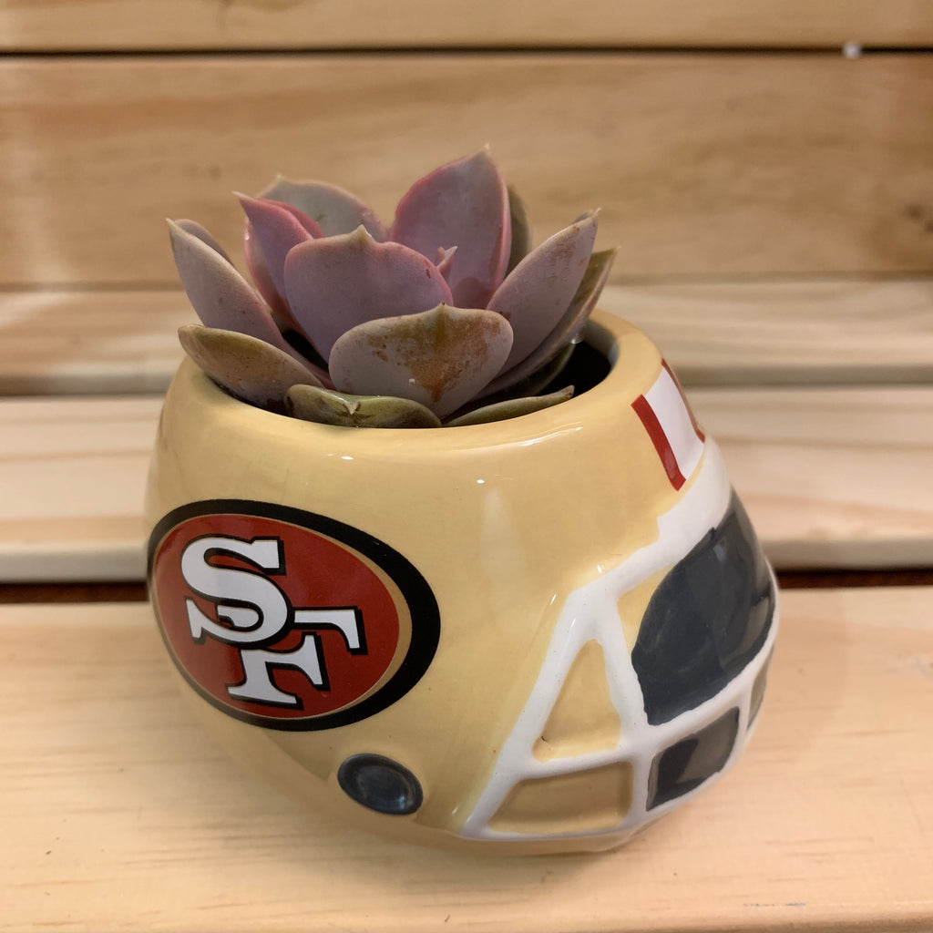 San Francisco 49ers Succulent Planter